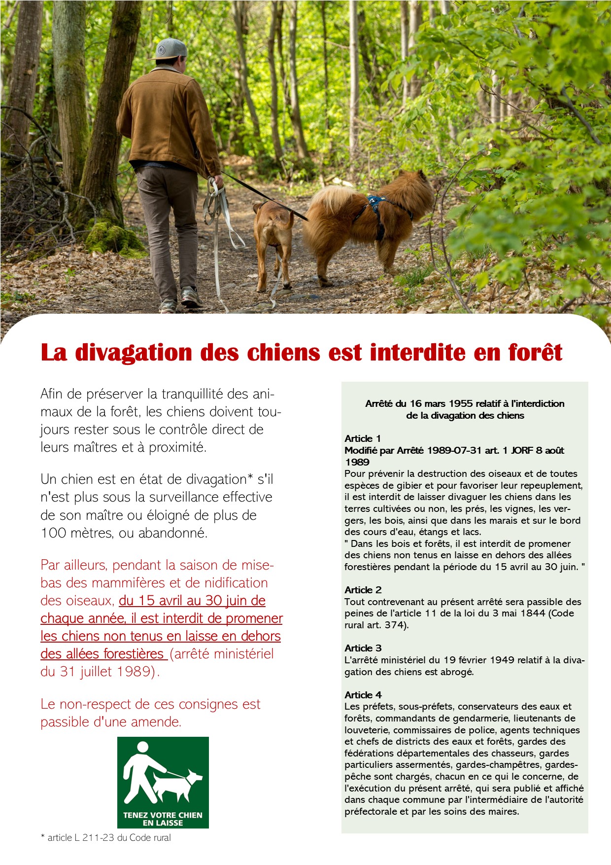 Affiche divagation chiens interdite