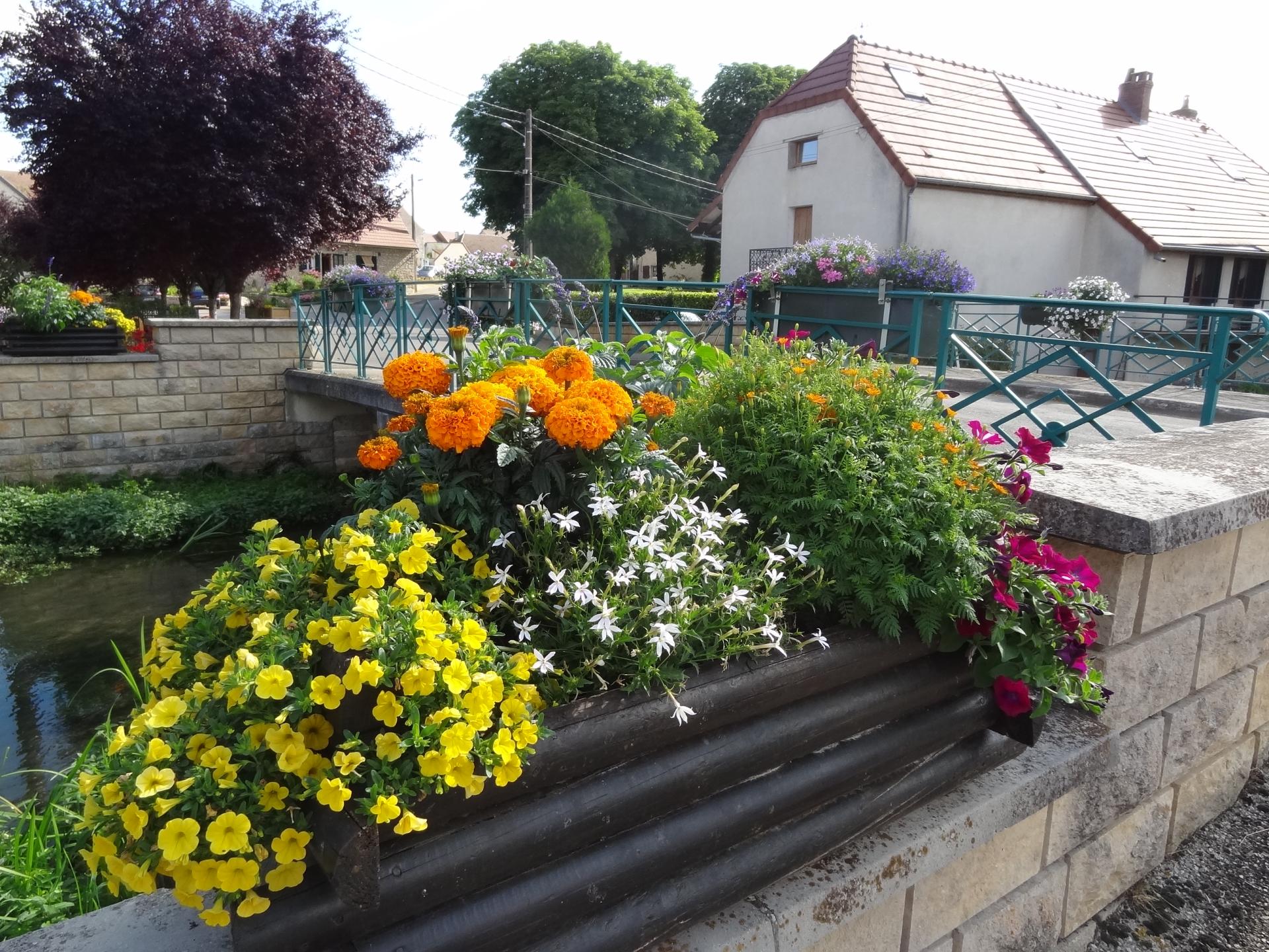 Fleurissement rue Belleneuve