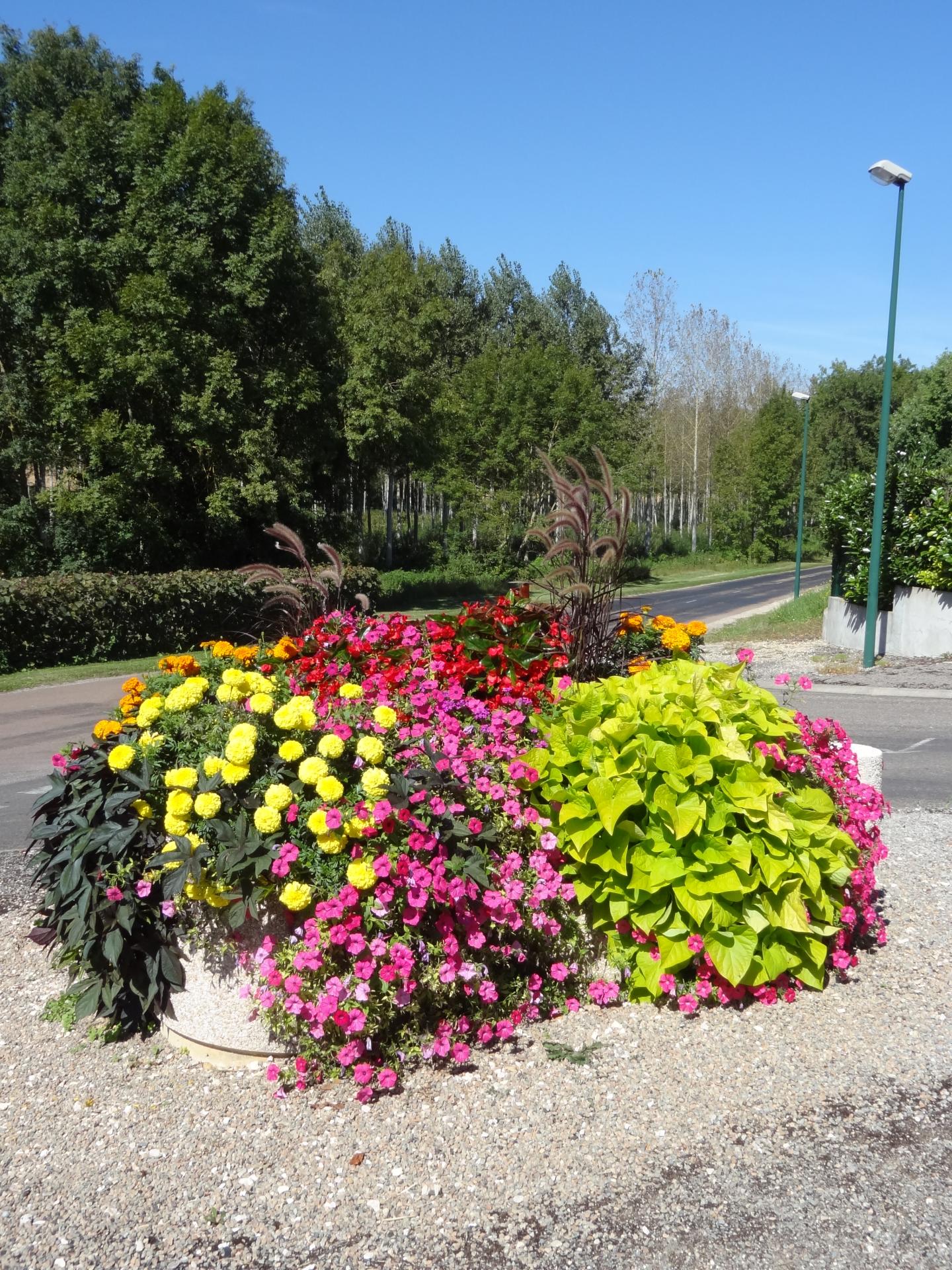 Fleurissement rue Belleneuve