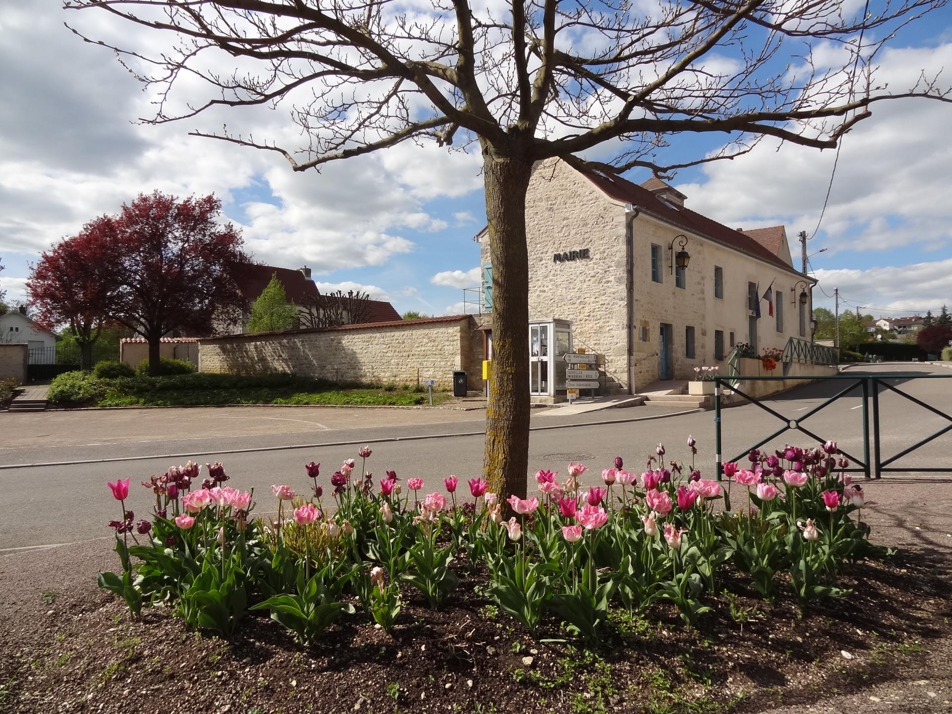 Fleurissement rue Belleneuve